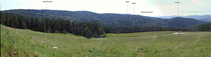 Widok z Roztoki nad Wojkową na dolinę potoku Stupne