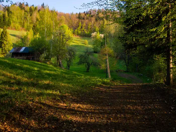 Polana Makowska fot. tadeusz dziedzinaC 