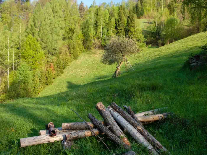 Polana Makowska fot. tadeusz dziedzinaC 