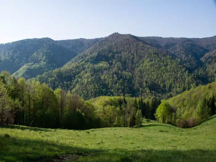 Polana Makowska fot. tadeusz dziedzinaC 