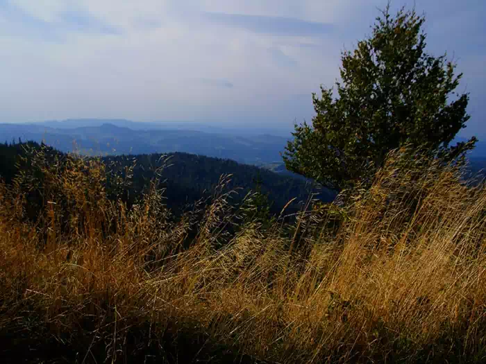 Panorama fot.  tadeusz dziedzinaC
