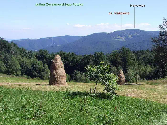 Widok z Kordowca na Makowic i dolin yczanowskiego Potoku ;; fot. Jerzy Opioa