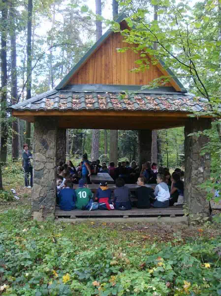 Terenowa dydaktyczna cieka Las Falkowski fot. sp20ns.alte.pl/