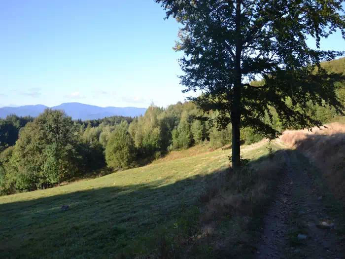 Widok z okolic Schroniska Cyrla fot. Roman Baran
