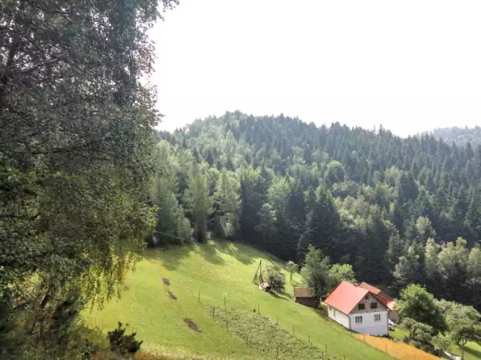 Kramarzowka na szlaku niebieskim fot. beskidsadecki.eu fot. beskidsadecki.eu