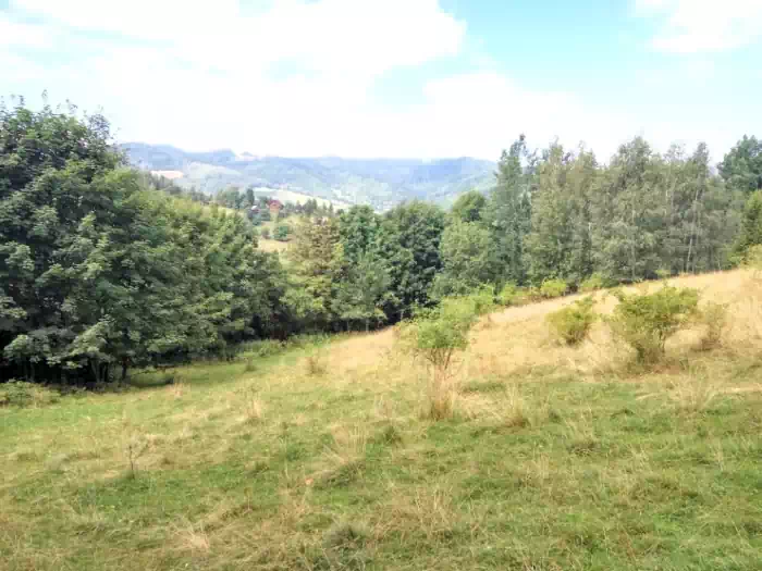 Szlak Obidza ( Zarbki ) - Przysop fot. beskidsadecki.eu