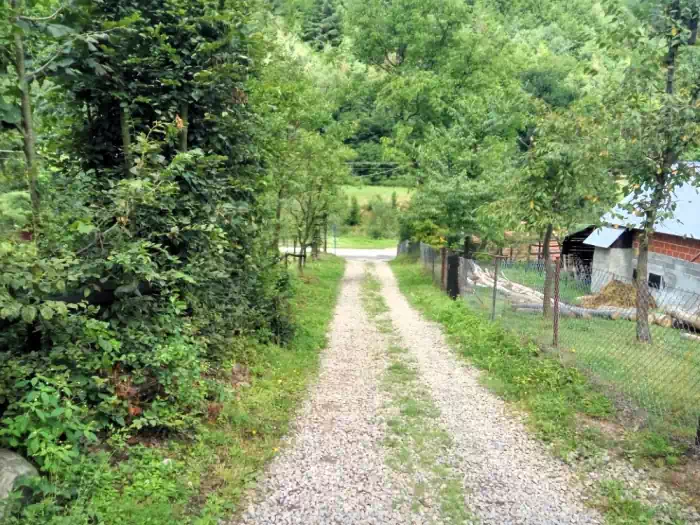 Szlak Obidza ( Zarbki ) - Przysop fot. beskidsadecki.eu