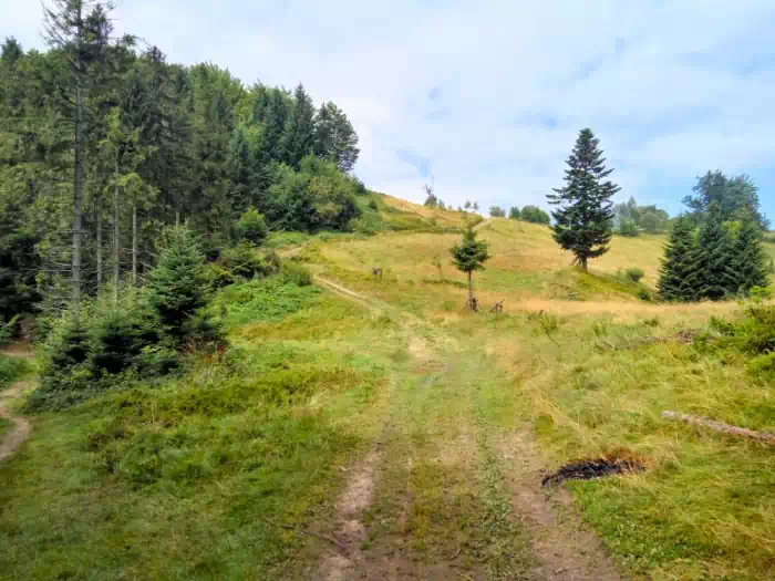 Herlowa Polana na szlaku niebieskim fot. beskidsadecki.eu