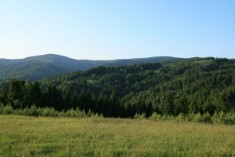  Na prawo dolina Czarnej Wody i Beskid Sdecki - Zomisty Wierch (po lewej) i Radziejowa. Bliej Pokrywisko z zarastajcymi halami