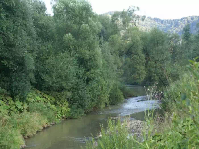 Rzeka Muszynka w Tyliczu fot. Krynicka Organizacja Turystyczna