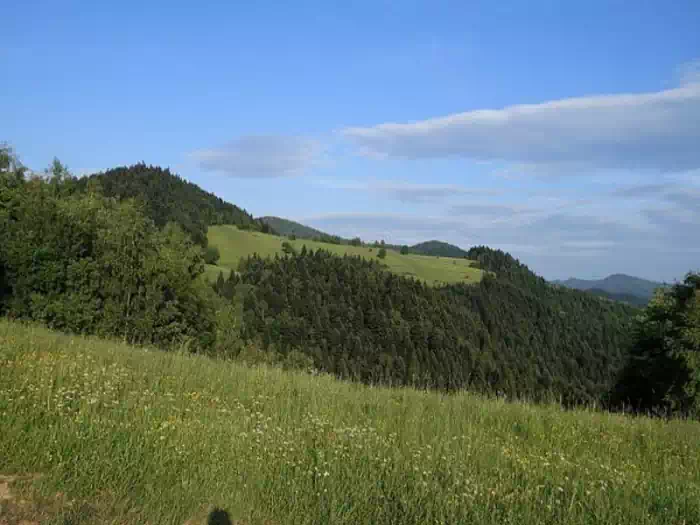 Wierch (842 m) fot. jabanu